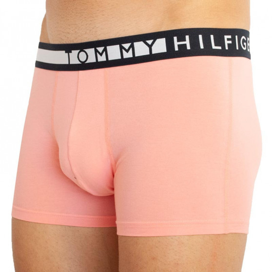 3PACK Boxers para hombre Tommy Hilfiger multicolor (UM0UM01565 0VJ)