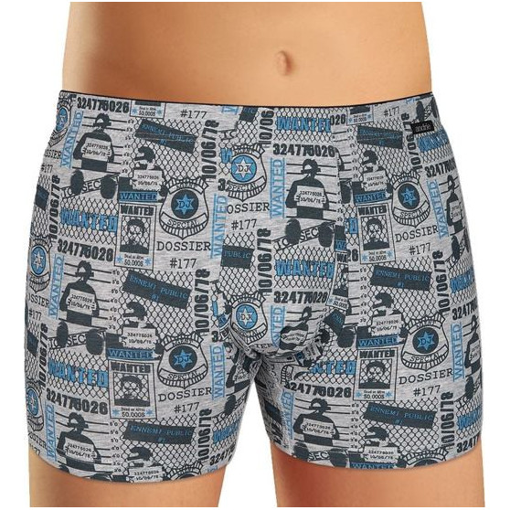 Boxers para hombre Andrie gris (PS 5340 B)