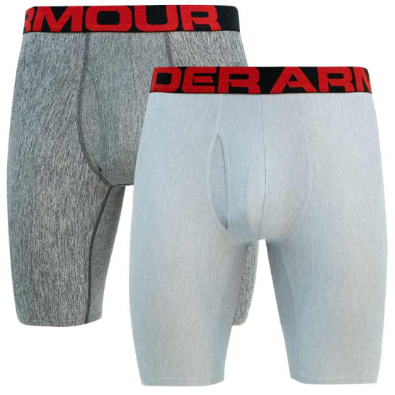 2PACK Boxers para hombre Under Armour gris (1363622 011)