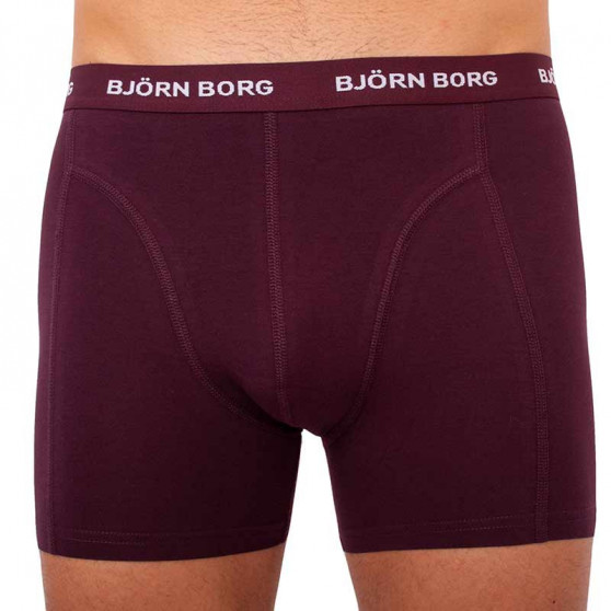 5PACK Boxers para hombre Bjorn Borg multicolor (2031-1041-81421)