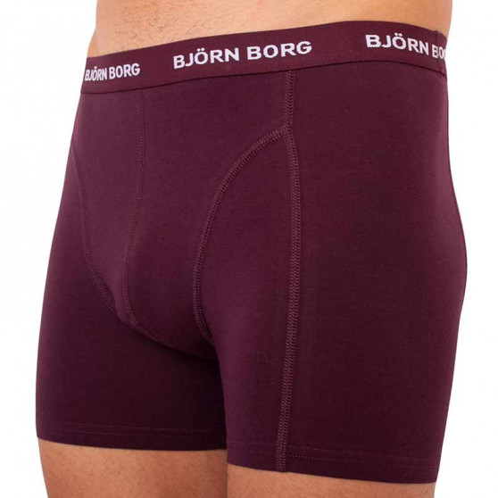 5PACK Boxers para hombre Bjorn Borg multicolor (2031-1041-81421)