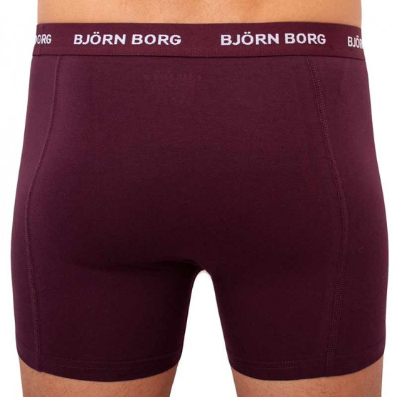 5PACK Boxers para hombre Bjorn Borg multicolor (2031-1041-81421)