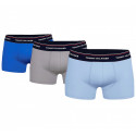 3PACK Boxers para hombre Tommy Hilfiger multicolor (1U87903842 0T1)