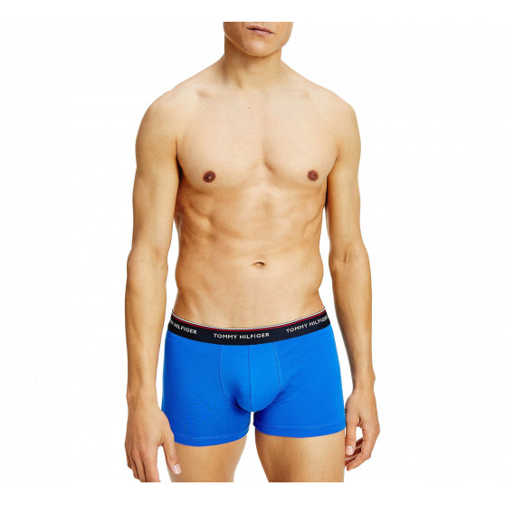 3PACK Boxers para hombre Tommy Hilfiger multicolor (1U87903842 0T1)