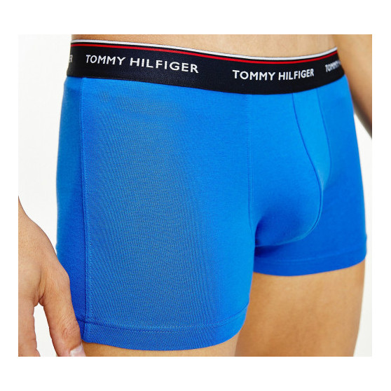 3PACK Boxers para hombre Tommy Hilfiger multicolor (1U87903842 0T1)