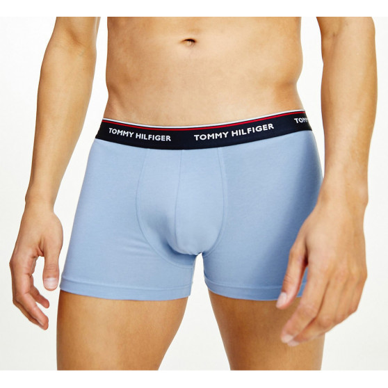 3PACK Boxers para hombre Tommy Hilfiger multicolor (1U87903842 0T1)