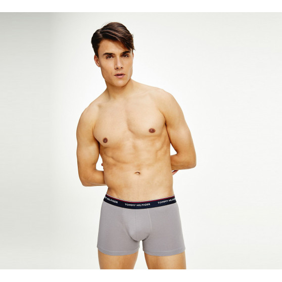 3PACK Boxers para hombre Tommy Hilfiger multicolor (1U87903842 0T1)