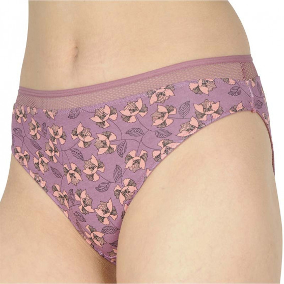 2PACK bragas de mujer Lama morado (L-1284 BI)