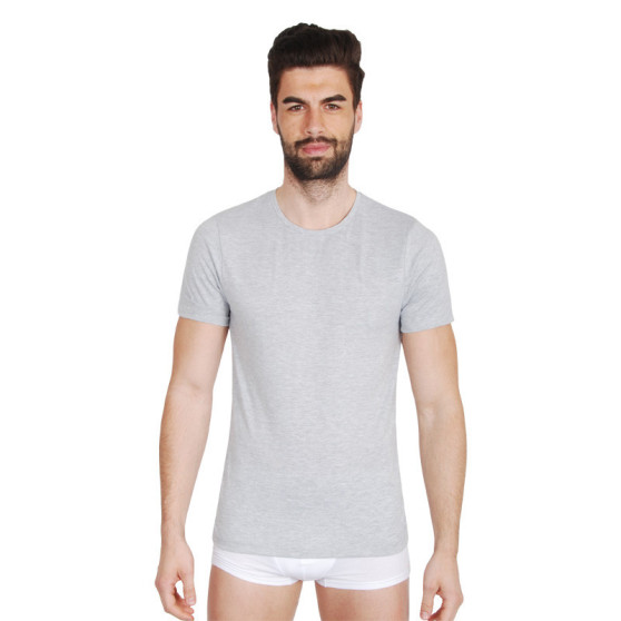 Camiseta de hombre Fila gris (FU5002-400)