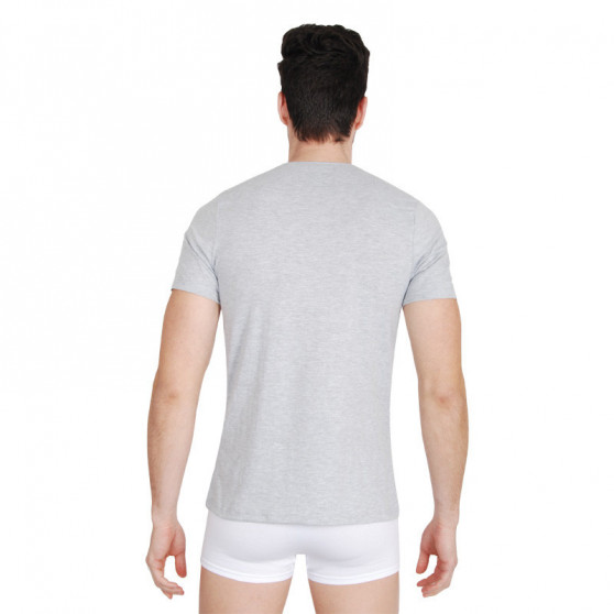 Camiseta de hombre Fila gris (FU5002-400)