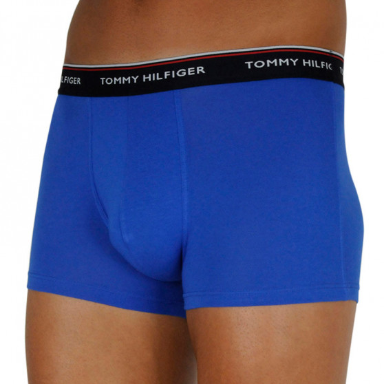 3PACK Boxers para hombre Tommy Hilfiger multicolor (1U87903842 0V0)