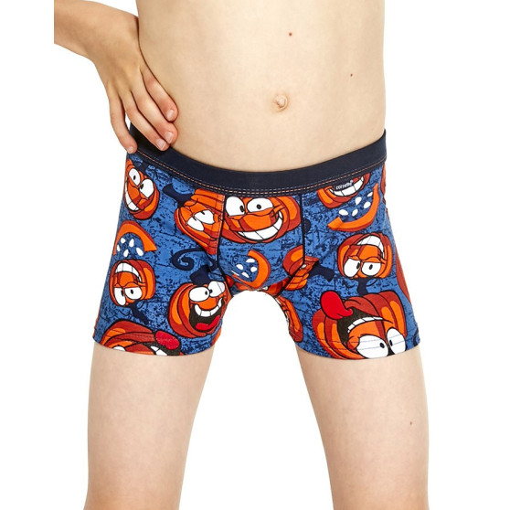 Boxers para niños Cornette Kids multicolor (701/114)