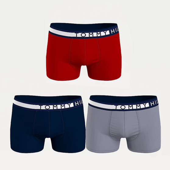 3PACK Boxers para hombre Tommy Hilfiger multicolor (UM0UM02202 0RU)