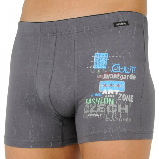 Boxers para hombre Andrie gris (PS 5588 B)