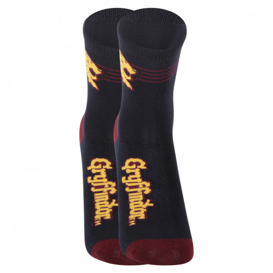 2PACK Calcetines para niños E plus M Harry Potter multicolor (GRYFFINDOR-A)