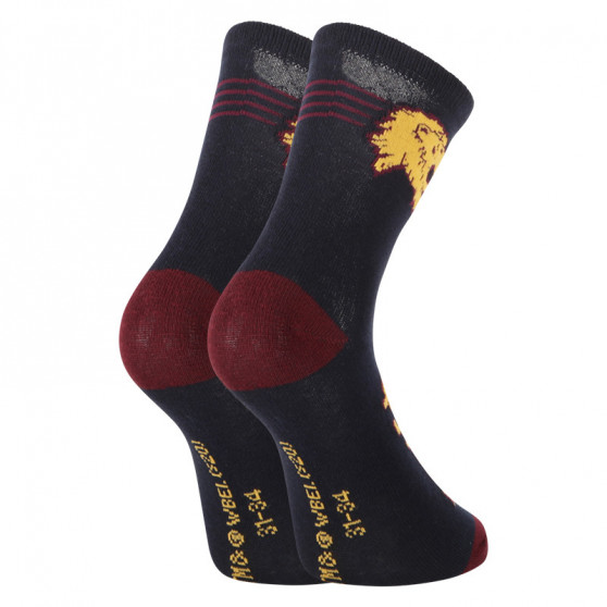 2PACK Calcetines para niños E plus M Harry Potter multicolor (GRYFFINDOR-A)