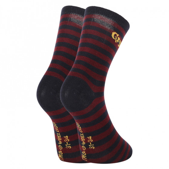 2PACK Calcetines para niños E plus M Harry Potter multicolor (GRYFFINDOR-A)