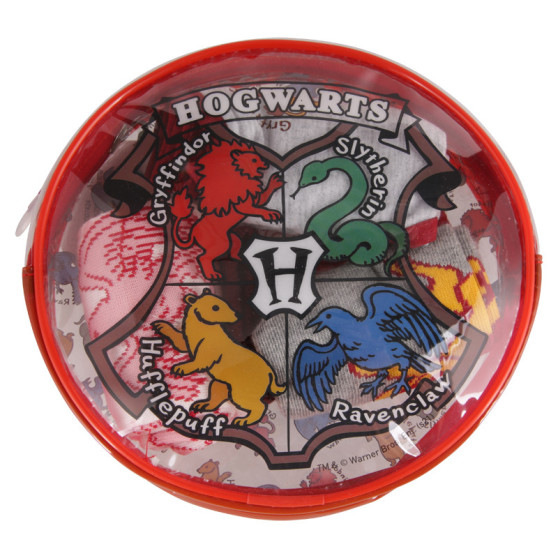 4PACK conjunto ropa interior niña Cerdá Harry Potter multicolor (2200007424)