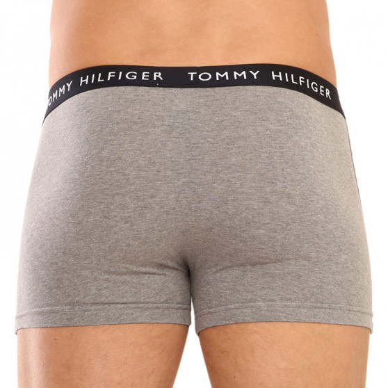 3PACK Boxers para hombre Tommy Hilfiger multicolor (UM0UM02325 0SG)