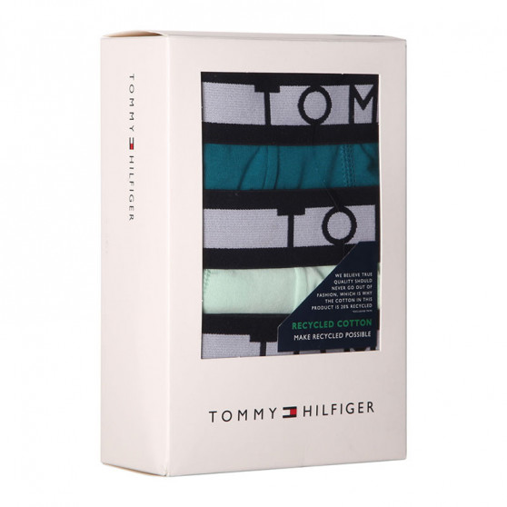 3PACK Boxers para hombre Tommy Hilfiger multicolor (UM0UM01565 0R2)