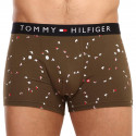 Boxers para hombre Tommy Hilfiger verde (UM0UM01831 0GW)