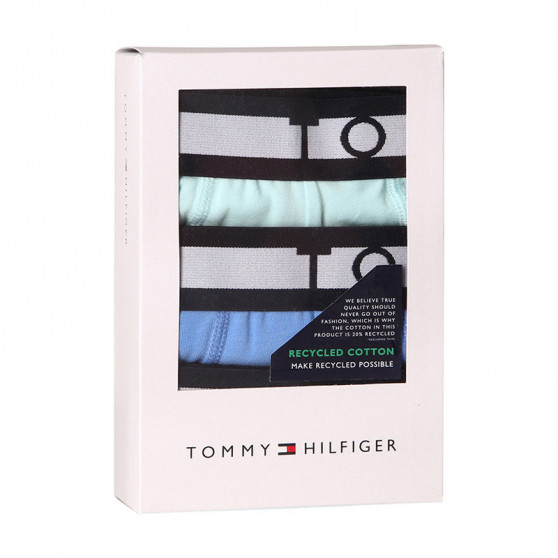 3PACK Boxers para hombre Tommy Hilfiger multicolor (UM0UM01565 00R)