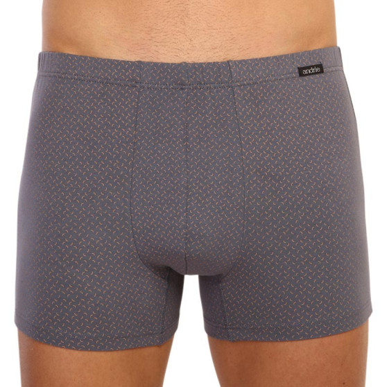 Boxers para hombre Andrie gris (PS 5596 B)