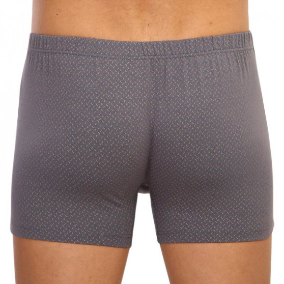 Boxers para hombre Andrie gris (PS 5596 B)