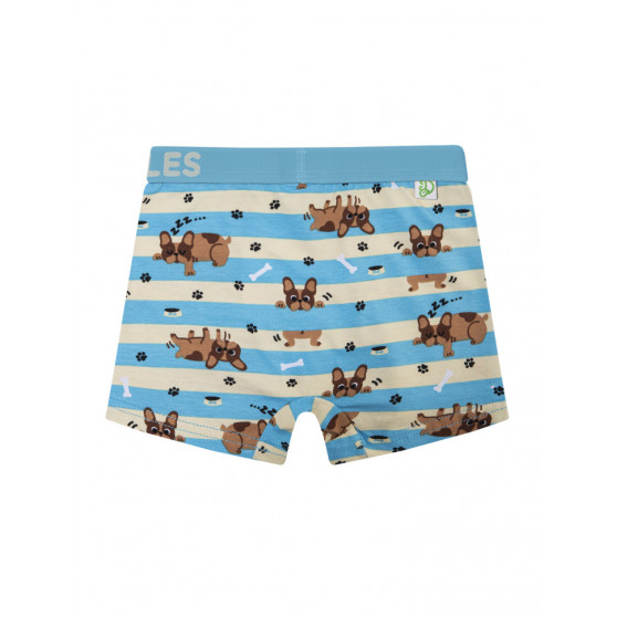 Alegres Boxers para chicos Dedoles Perros y rayas (GMBB123)