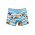 Alegres Boxers para chicos Dedoles Perros y rayas (GMBB123)