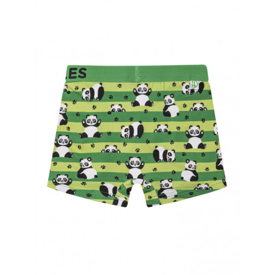 Alegres Boxers para chicos Dedoles Pandas y cinturones (GMBB249)