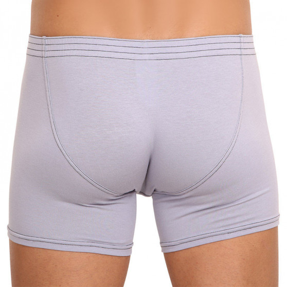 Boxers para hombre Styx largo clásico goma gris claro (F1067)