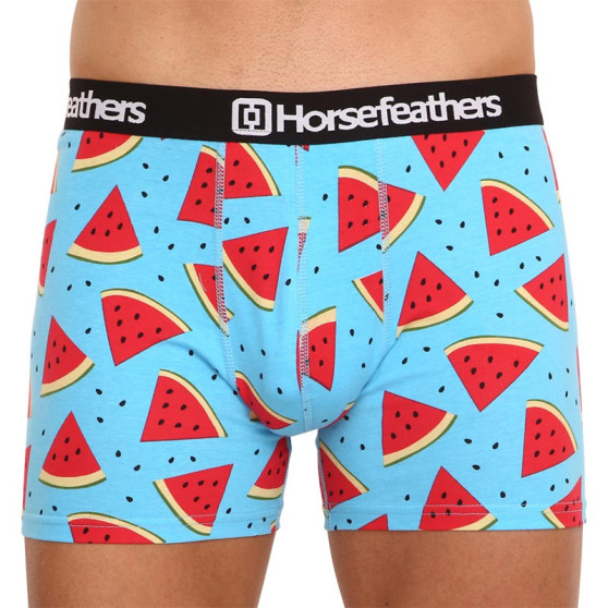 Boxers para hombre Horsefeathers Sidney Melon (AM164B)