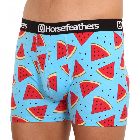 Boxers para hombre Horsefeathers Sidney Melon (AM164B)