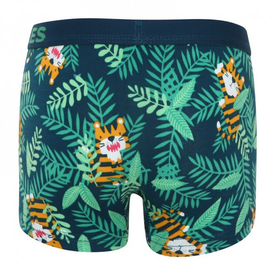 Boxers alegres para chicos Dedoles Tiger (GMBB047)