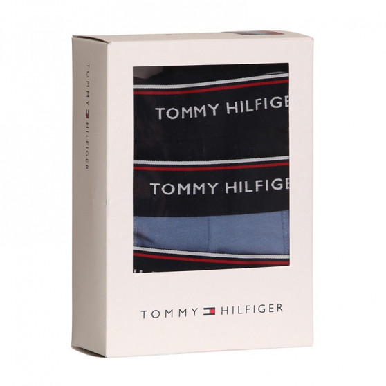 3PACK Boxers para hombre Tommy Hilfiger multicolor (1U87903842 0TU)