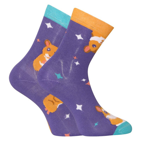 Calcetines bebé feliz Dedoles Hamster (GMKS1128)