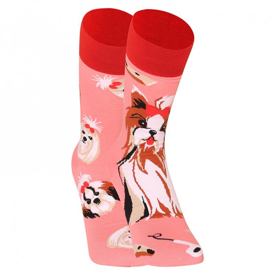 Calcetines felices Dedoles Yorkshire Terrier (GMRS215)