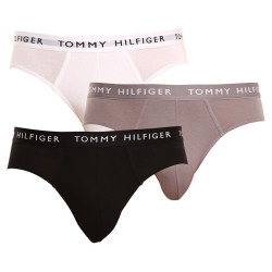 3PACK calzoncillos para hombre Tommy Hilfiger multicolor (UM0UM02206 0TG)