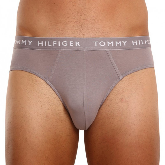 3PACK calzoncillos para hombre Tommy Hilfiger multicolor (UM0UM02206 0TG)