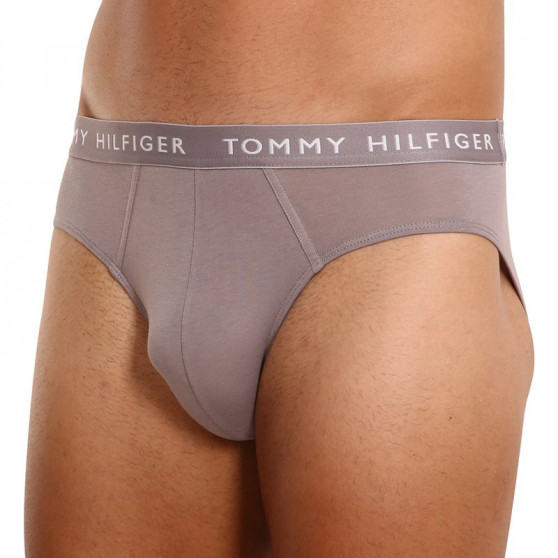 3PACK calzoncillos para hombre Tommy Hilfiger multicolor (UM0UM02206 0TG)