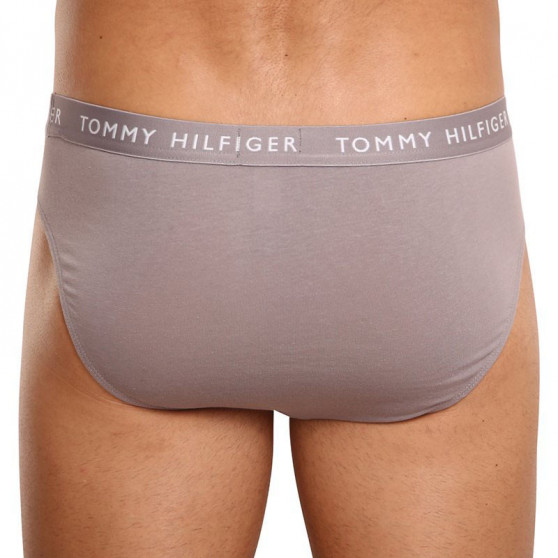 3PACK calzoncillos para hombre Tommy Hilfiger multicolor (UM0UM02206 0TG)