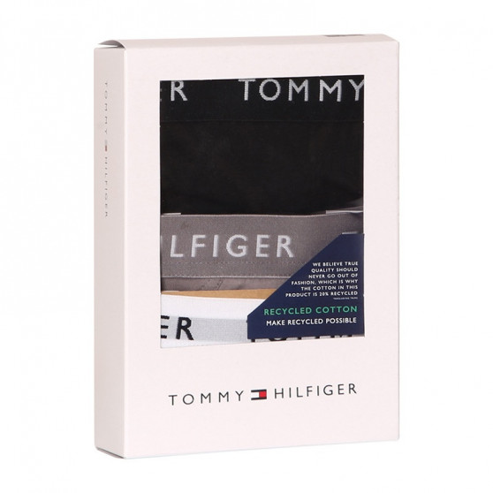 3PACK calzoncillos para hombre Tommy Hilfiger multicolor (UM0UM02206 0TG)