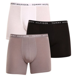 3PACK Boxers para hombre Tommy Hilfiger multicolor (UM0UM02204 0TG)