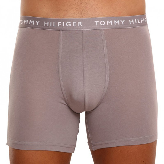 3PACK Boxers para hombre Tommy Hilfiger multicolor (UM0UM02204 0TG)