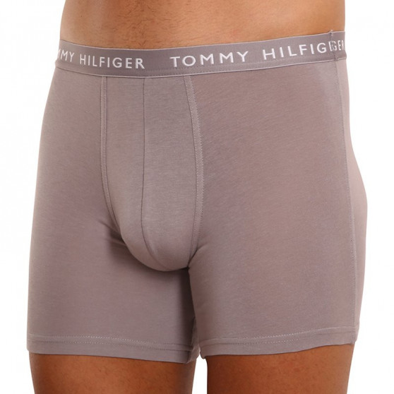 3PACK Boxers para hombre Tommy Hilfiger multicolor (UM0UM02204 0TG)