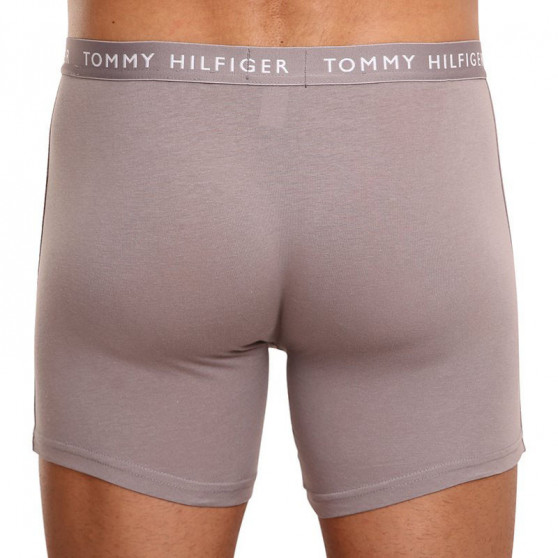 3PACK Boxers para hombre Tommy Hilfiger multicolor (UM0UM02204 0TG)