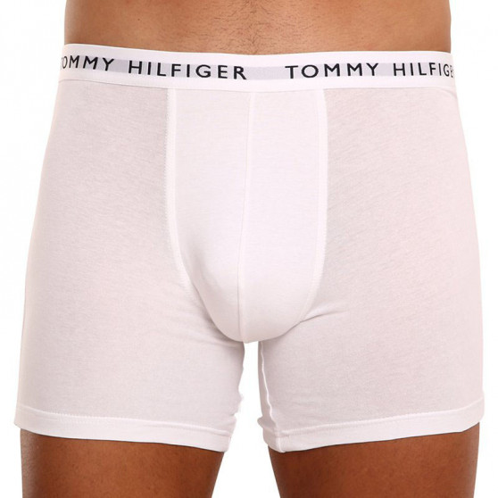 3PACK Boxers para hombre Tommy Hilfiger multicolor (UM0UM02204 0TG)