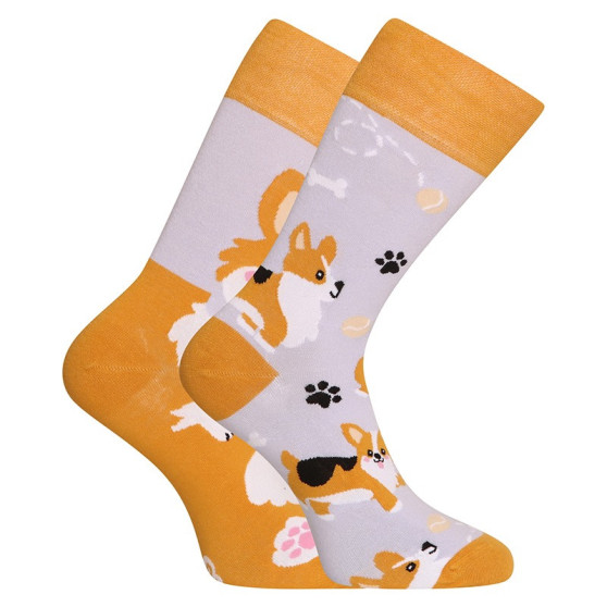 Calcetines felices Dedoles Perro Corgi (GMRS241)