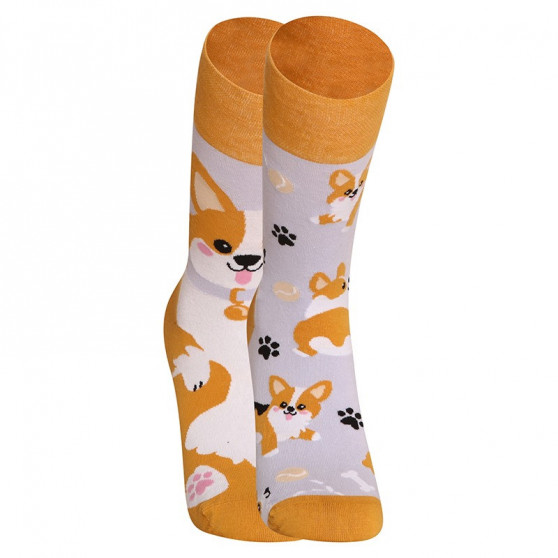 Calcetines felices Dedoles Perro Corgi (GMRS241)